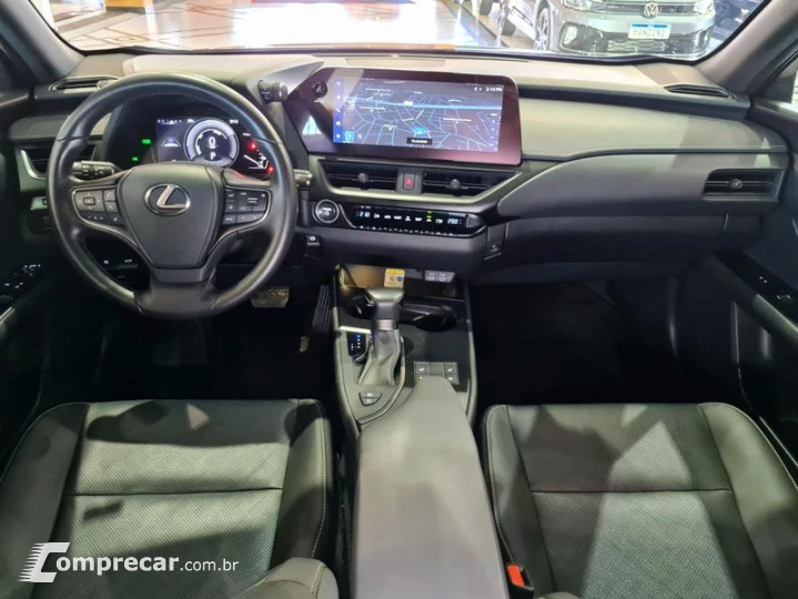 UX250H LUXURY