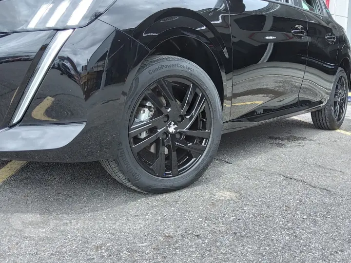 208 1.0 FIREFLY FLEX STYLE MANUAL