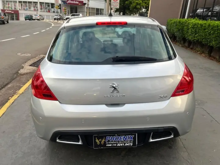 308 2.0 Feline 16V