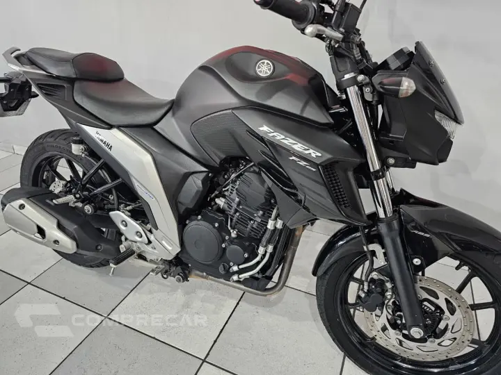 FZ 25