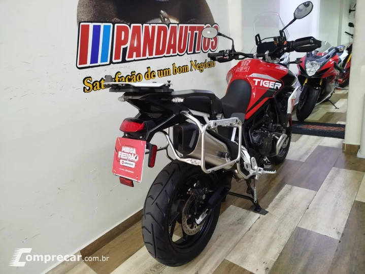 Tiger 900 GT ARAGÓN
