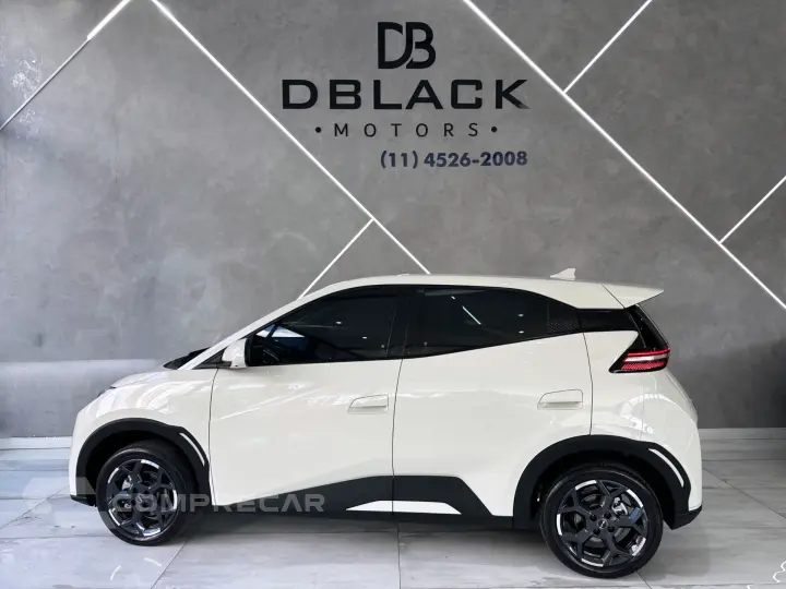 Dolphin Mini (Elétrico)