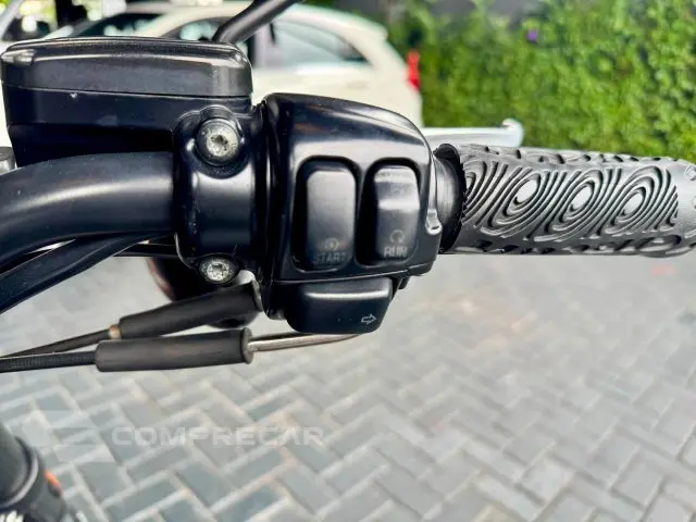 NIGHT ROD SPECIAL - Custom