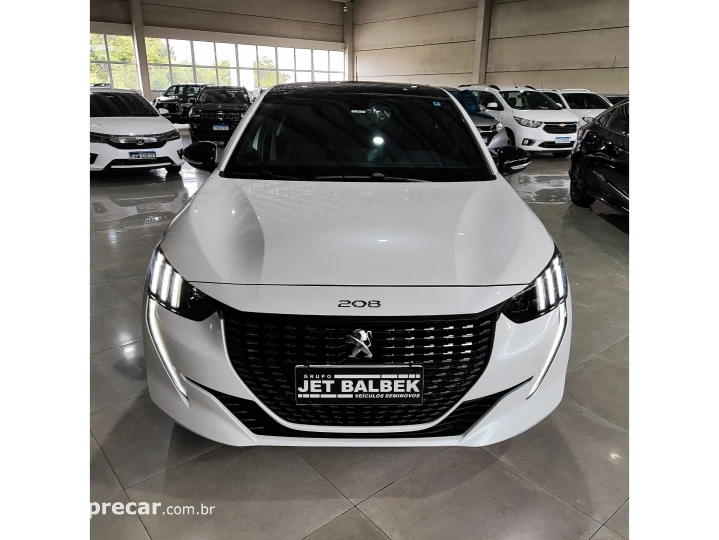 208 1.0 6V FLEX STYLE MANUAL