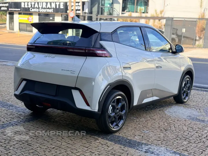 DOLPHIN MINI 38 KW GS