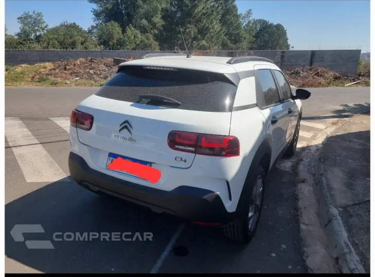 C4 cactus