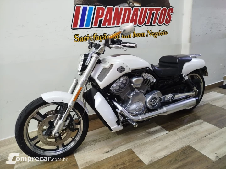 V Rod Custom 1250 cc