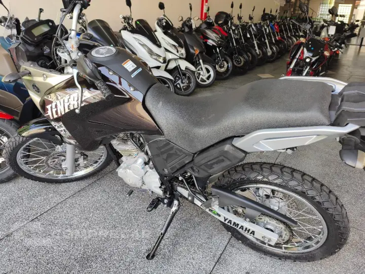XTZ 250 TENERE/TENERE BLUEFLEX