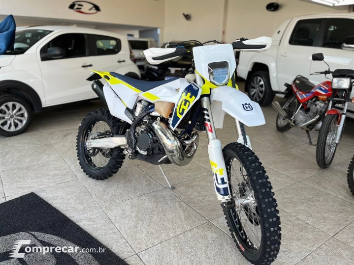 TE 300I