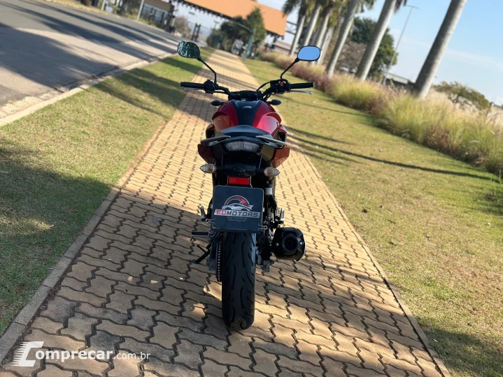 FZ25 FAZER