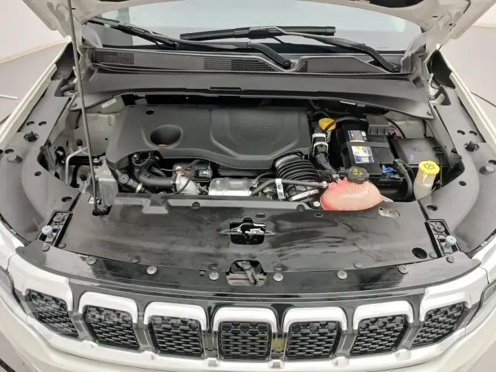 COMMANDER 1.3 T270 TURBO FLEX LIMITED AT6