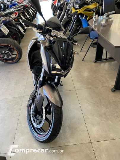 Z300