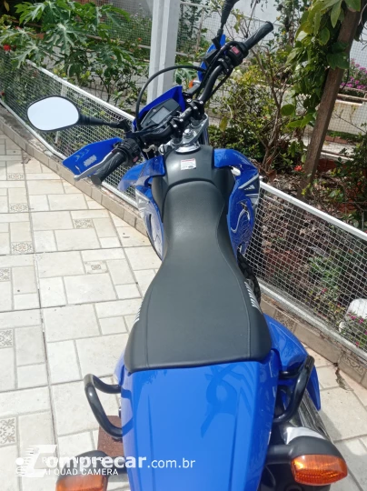 XTZ Lander