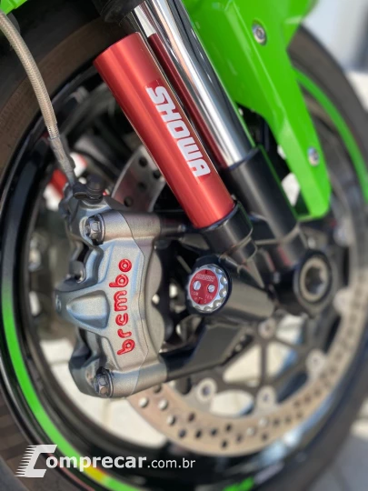 NINJA ZX-10/ ZX-10R 1000cc/30TH Aniv.