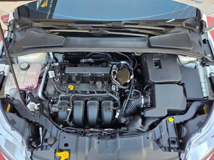 Focus TITA/TITA Plus 2.0  Flex 5p Aut.