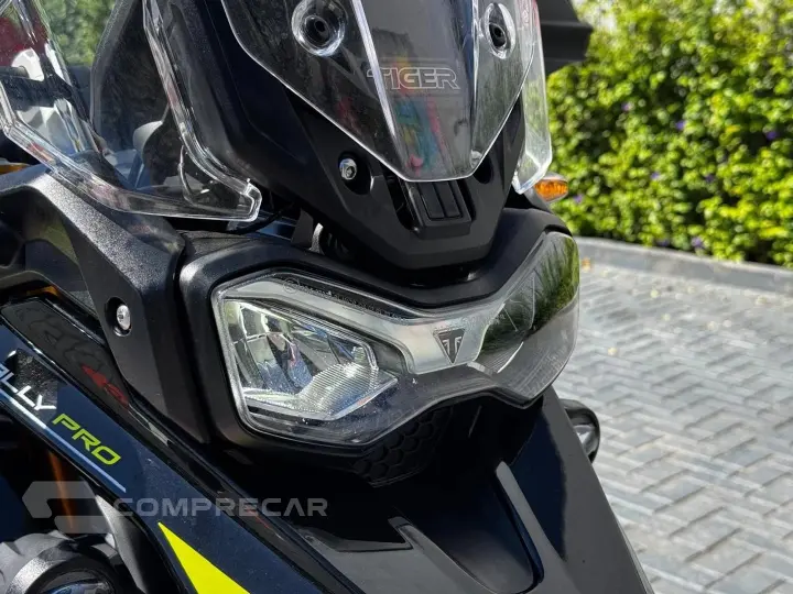 TIGER 900 RALLY PRO