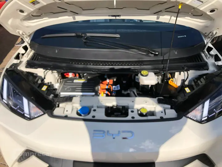 Dolphin Mini 38 Kw Elétrico