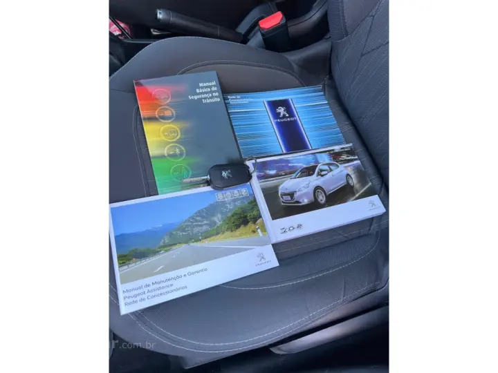 208 1.6 GRIFFE 16V FLEX 4P MANUAL