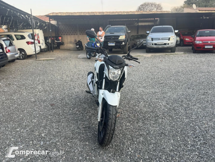 CB 250F TWISTER