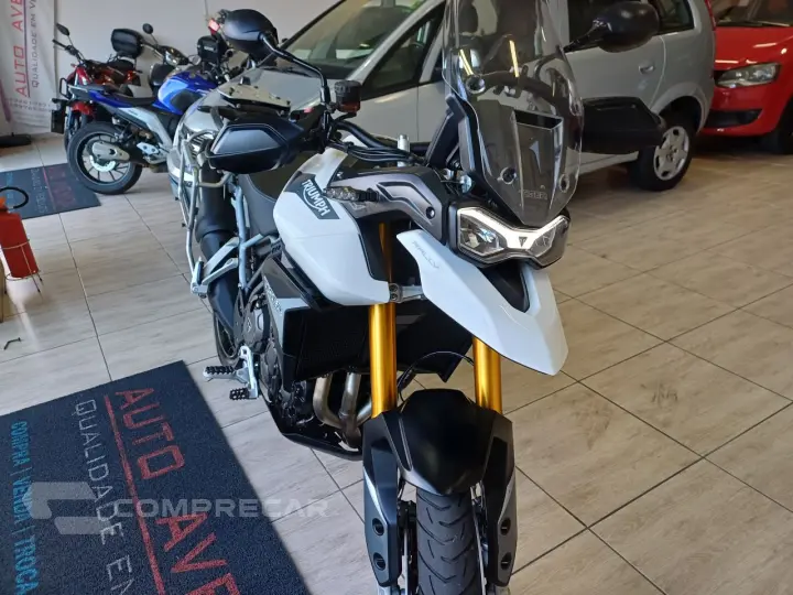 Tiger 900 RALLY