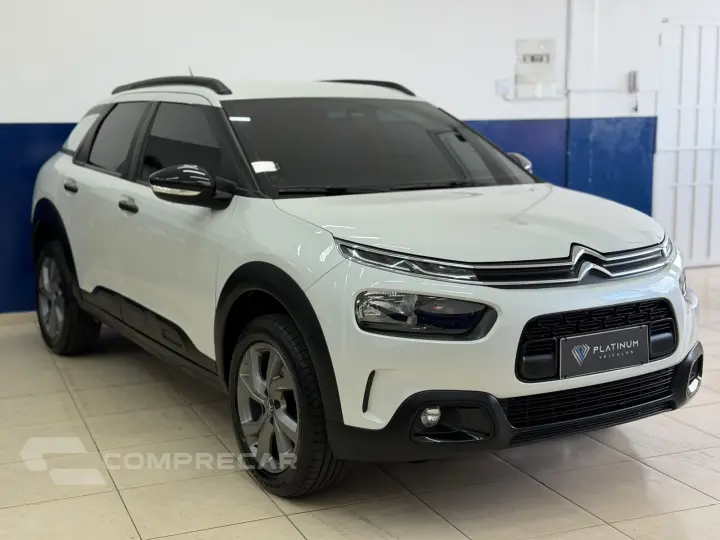C4 CACTUS FELL