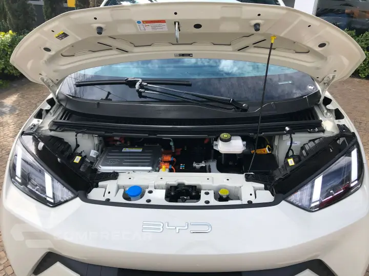 Dolphin Mini 38 Kw Elétrico