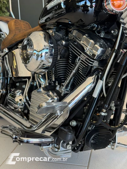 SOFTAIL DELUXE FLSTN