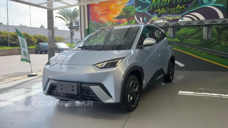 DOLPHIN MINI 38 KW ELÉTRICO GL