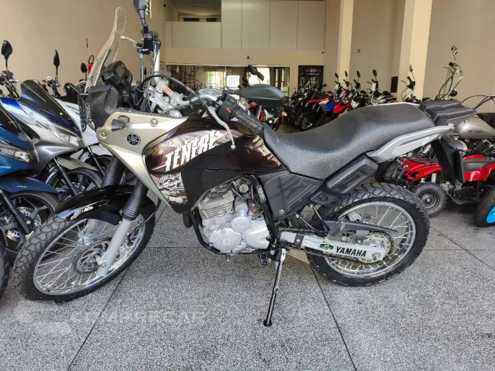XTZ 250 TENERE/TENERE BLUEFLEX
