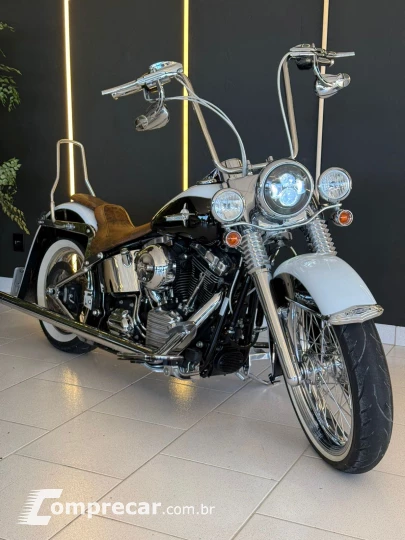 SOFTAIL DELUXE FLSTN