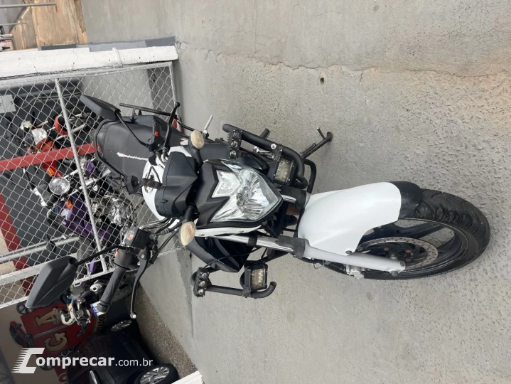 YS Fazer 250 Modelo sem Versão