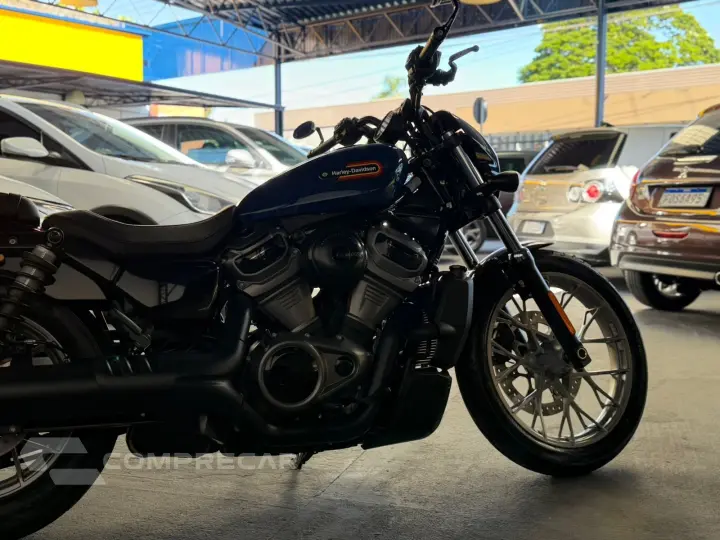 NIGHTSTER NIGHSTER SPECIAL