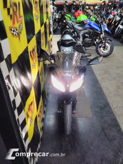 Ninja 300