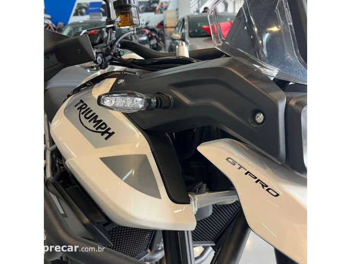 TIGER 900 GT PRO