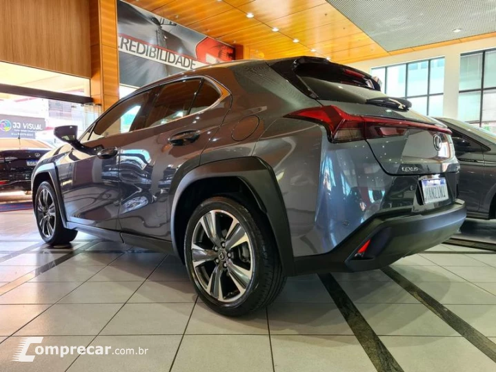 UX250H LUXURY