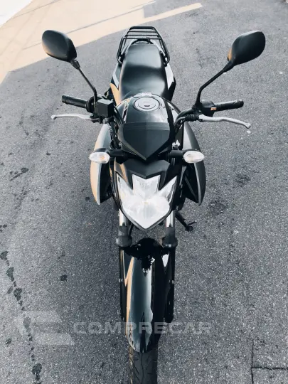 FAZER 250 BLUEFLEX