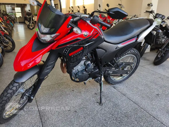 XTZ 250 LANDER 249cc/LANDER BLUEFLEX/ABS