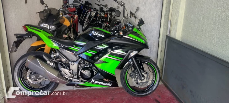 Ninja 300 abs