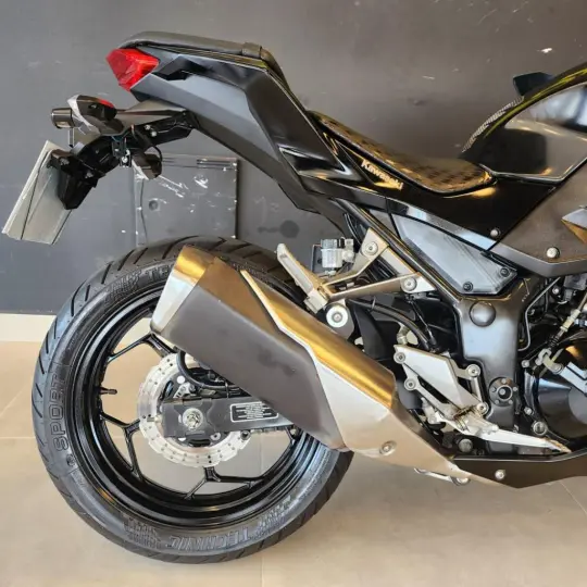 Z 300