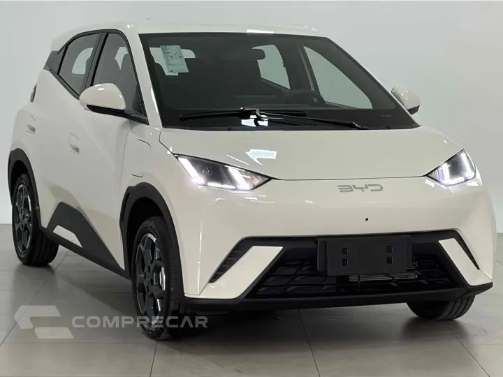 DOLPHIN MINI 38 KW ELÉTRICO GS