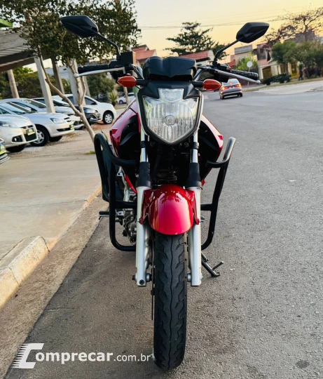 Fazer YS 250