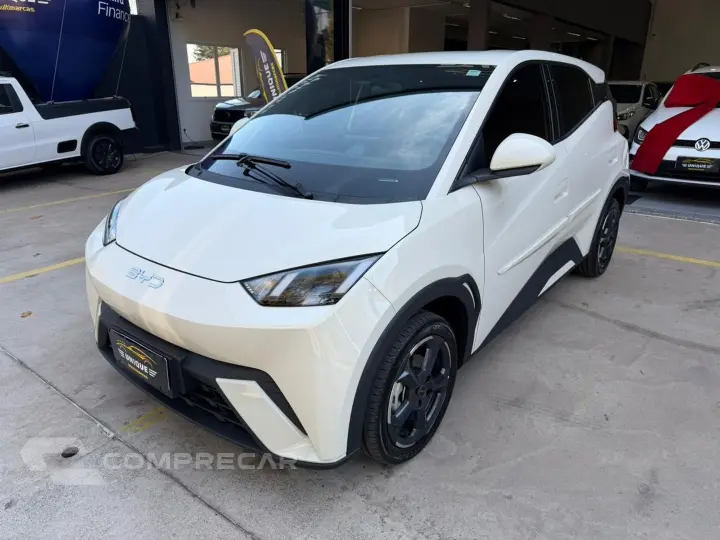 Dolphin Mini 38 Kw Elétrico