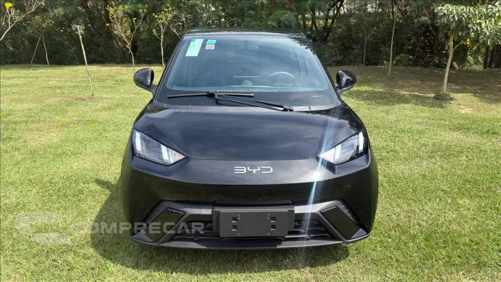 DOLPHIN MINI 38 KW ELÉTRICO GL