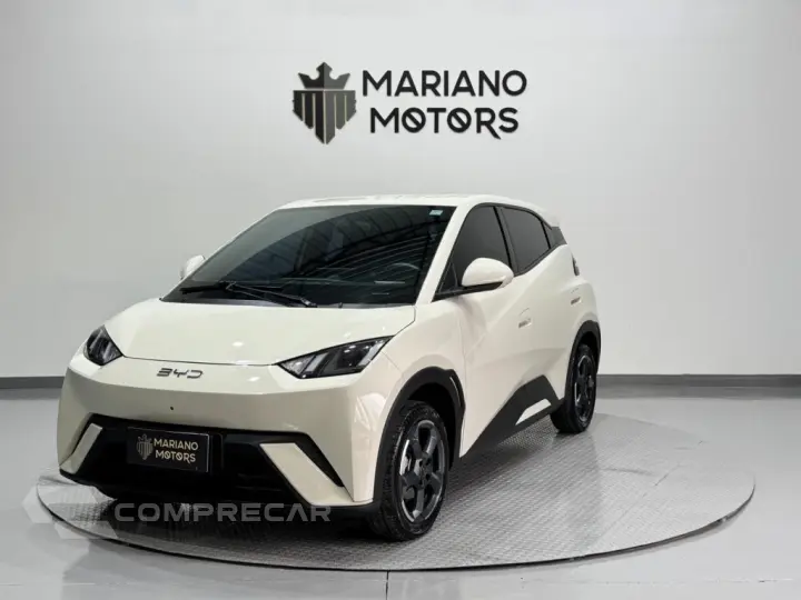 DOLPHIN MINI GS EV