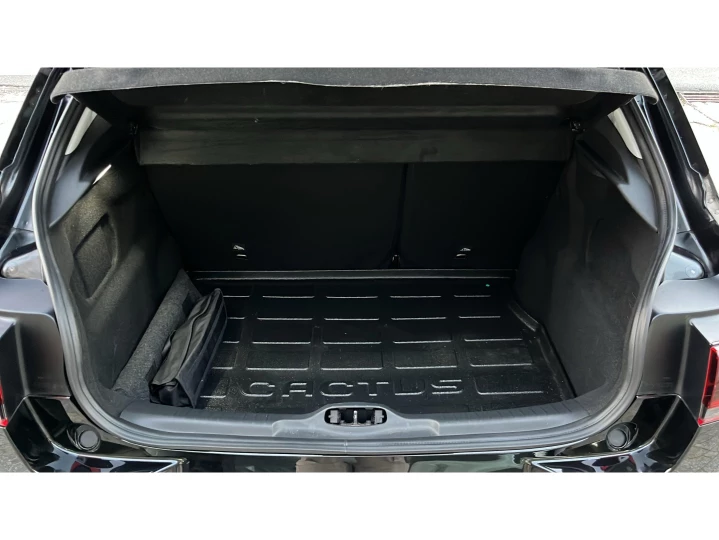 C4 CACTUS 1.6 VTI 120 FLEX LIVE EAT6