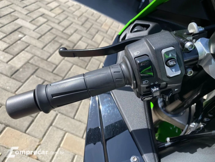 NINJA ZX-10/ ZX-10R 1000cc/30TH Aniv.