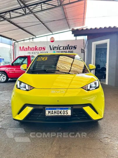 Dolphin Mini (Elétrico)