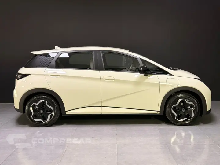 DOLPHIN 44,9 KW ELÉTRICO GS