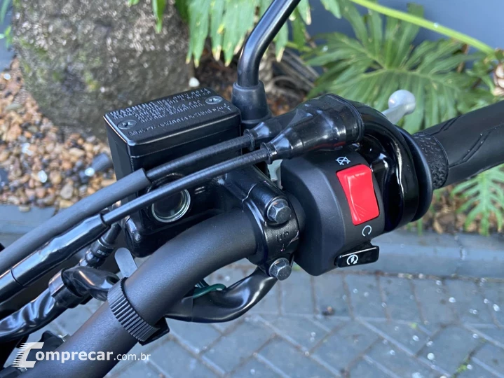 FZ25 FAZER 250 ABS
