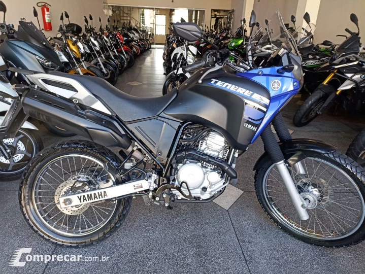 XTZ 250 TENERE/TENERE BLUEFLEX
